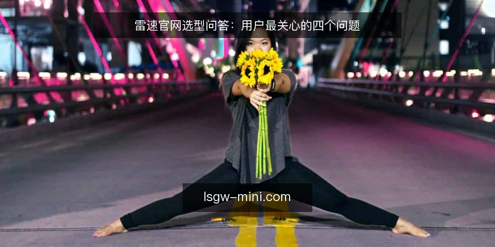 雷速官网选型问答:用户最关心的四个问题 — 雷速官网是什么?它和雷速官网资讯有什么区别? 配图