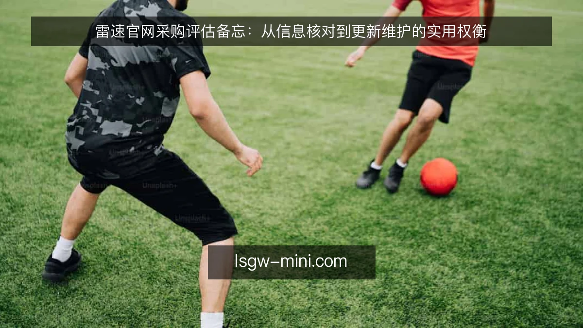 雷速官网采购评估备忘：从信息核对到更新维护的实用权衡