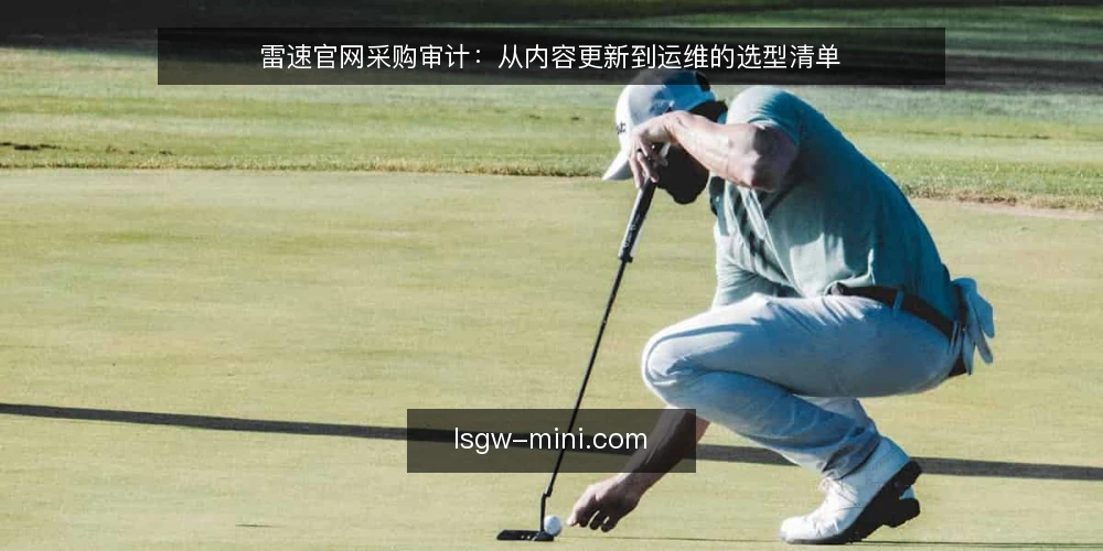 雷速官网采购审计：从内容更新到运维的选型清单 — 为什么现在要审计雷速官网 配图